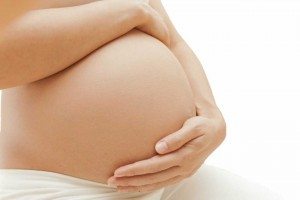 España acuerda protocolo seguimiento en relación al virus zika en el embarazo
