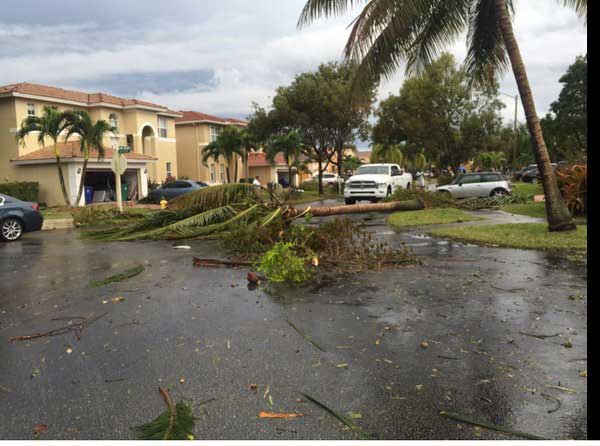 Tornados y tormenta dejan serios daños en Florida