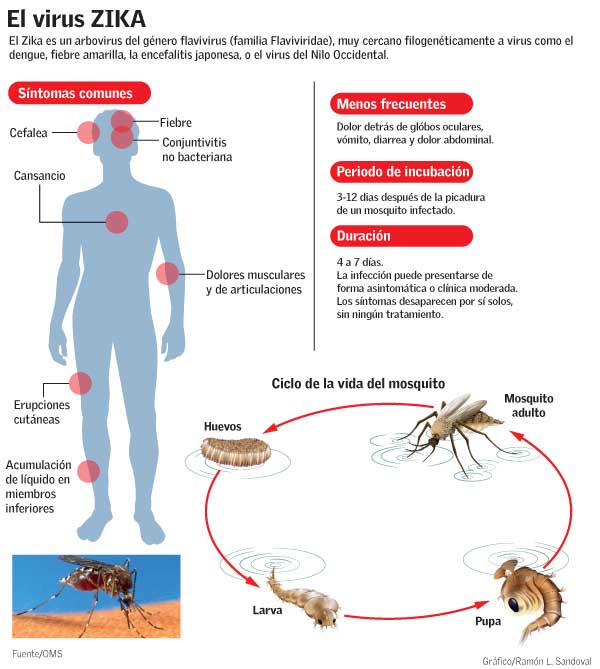 Infectados Zika en NY mayoría por transmisión sexual