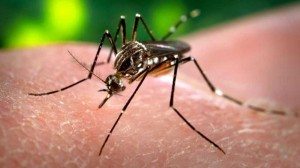 Muere en Utah víctima de Zika