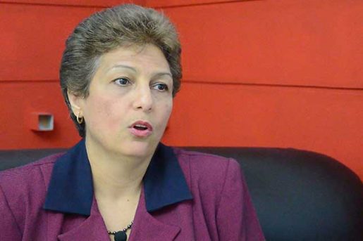 Rosario Espinal afirma no hay voluntad real para aprobar ley partidos
