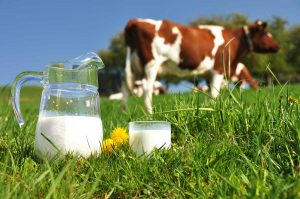 Ganaderos donarán 30 mil litros de leche