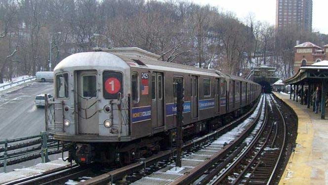cropped tren nueva york