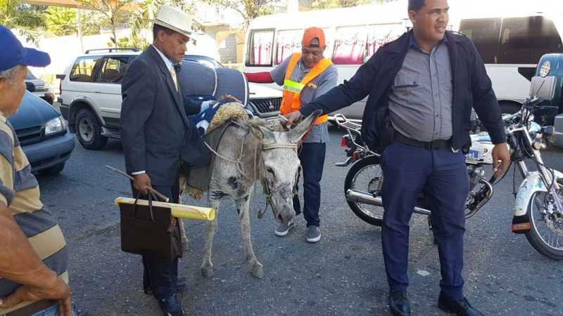 Incautan burros a campesinos iban con rumbo al Palacio Nacional