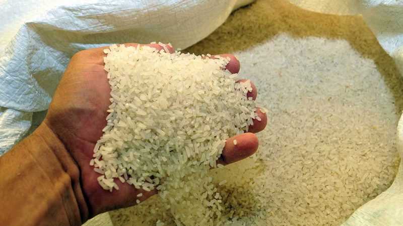 Descartan presencia de arroz plástico en mercado dominicano