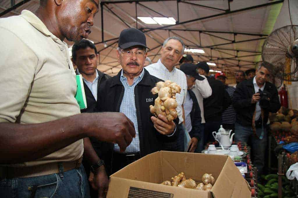 Danilo escucha a productores de jengibre orgánico en Samaná