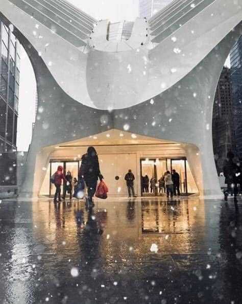 Anunciada poderosa tormenta invernal inicia débil en NYC