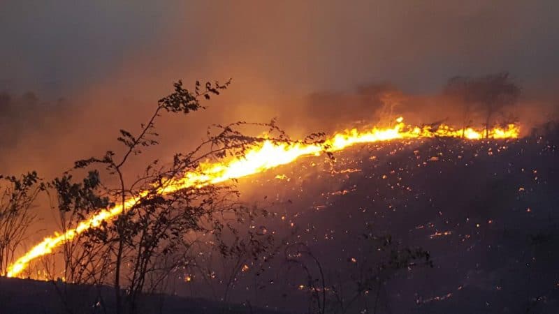 Fuego forestal afecta Jaiquí Picado, La Cuesta, de Sajoma