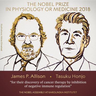 Investigadores terapia cáncer reciben Nobel de Medicina