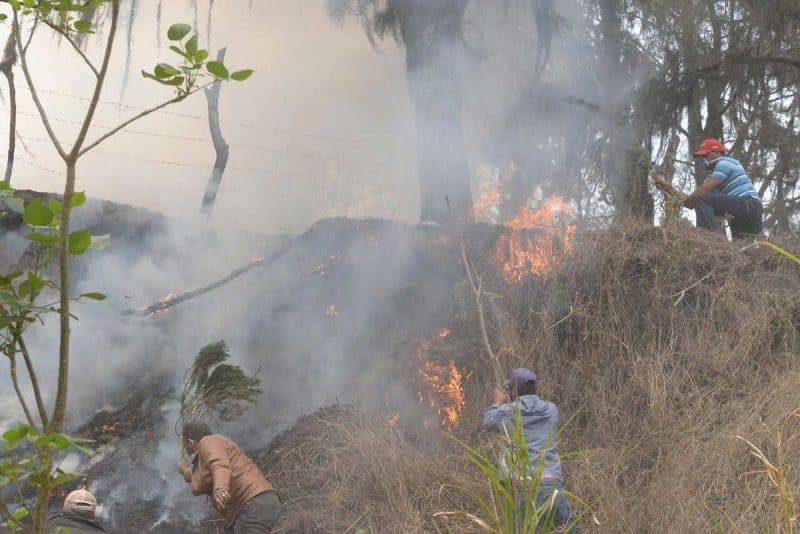 Ministro Medio Ambiente revela fuegos forestales son provocados