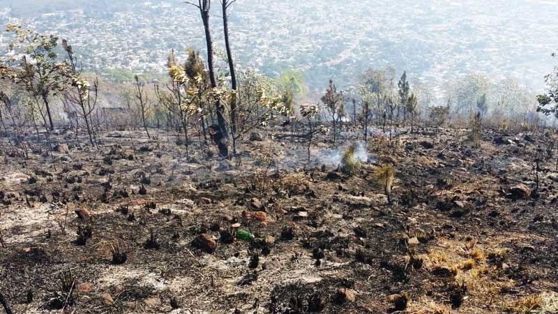 La Vega: Fuego loma Guaiguí afectó más de 1,500 tareas de bosque