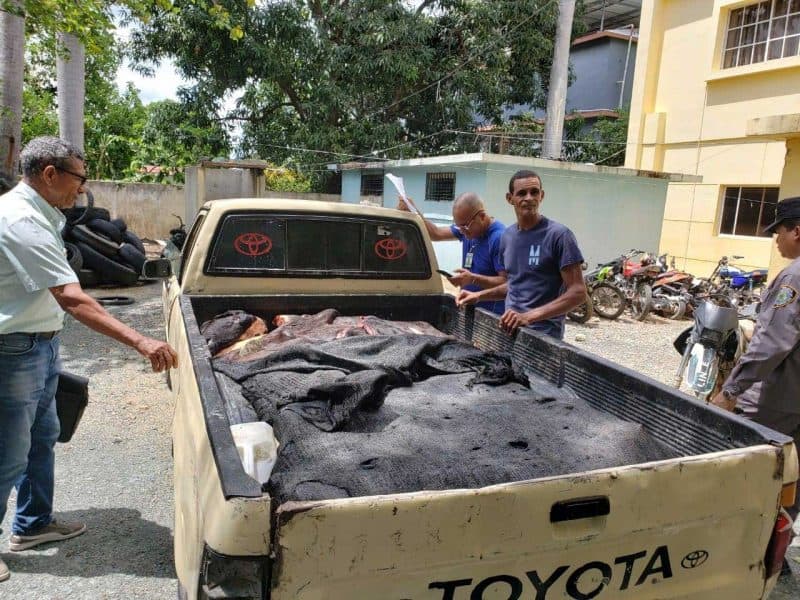 Las autoridades de Salud Pública en coordinación con efectivos del Ejército apresaron en Santiago Rodríguez a un hombre que pretendía trasladar en la parte trasera de una camioneta tres vacas en estado de descomposición para comercializarla en esta ciudad.