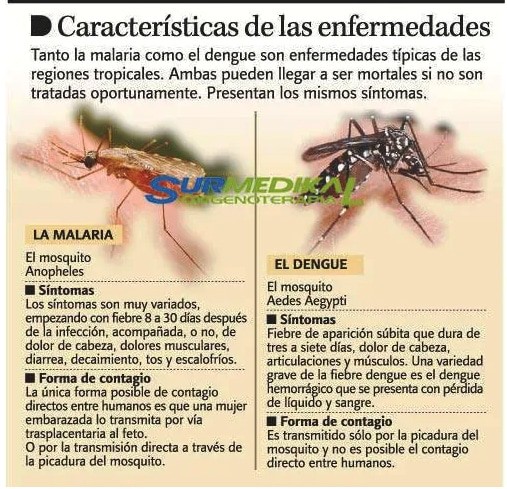dengue y malaria