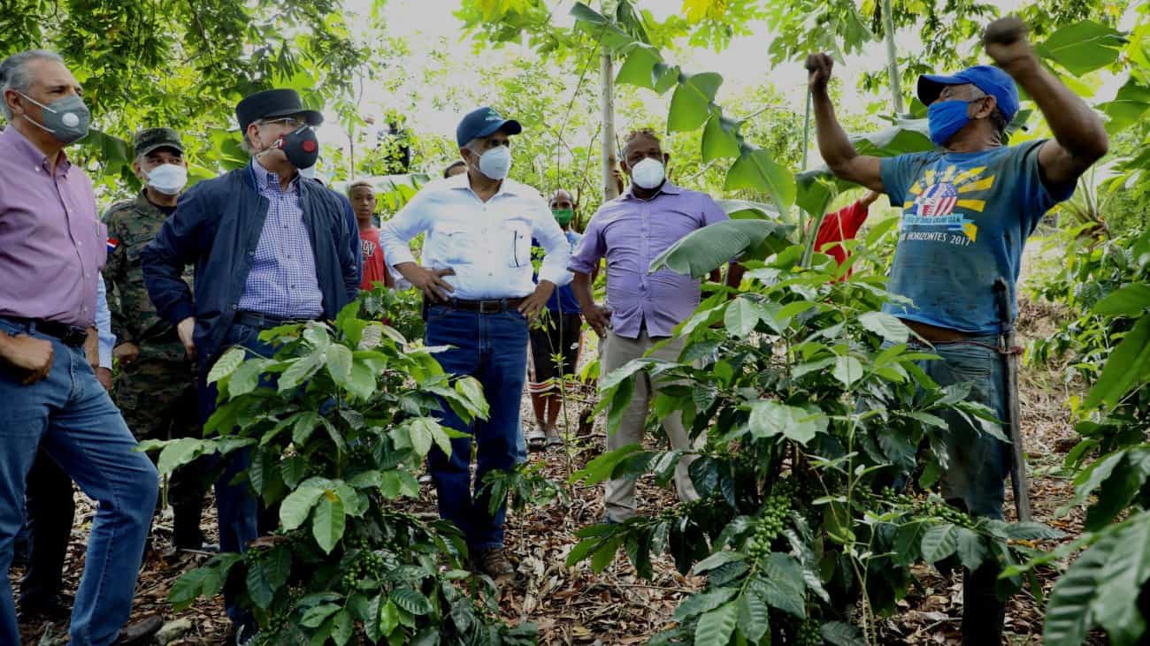 Danilo Medina constata avances Proyectos Desarrollo Agroforestal