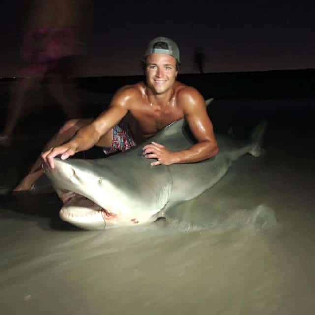 tiburon capturado