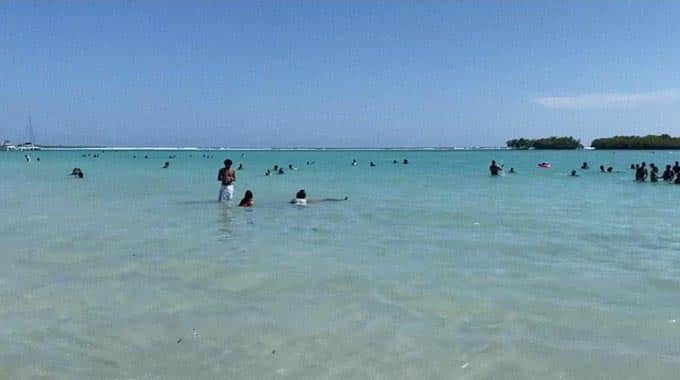 Playa de Boca Chica está apta para bañarse