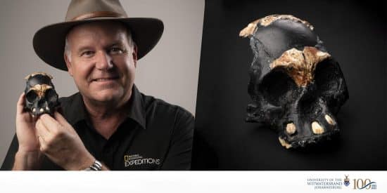Descubren cráneo de niño de 250.000 años de antigüedad