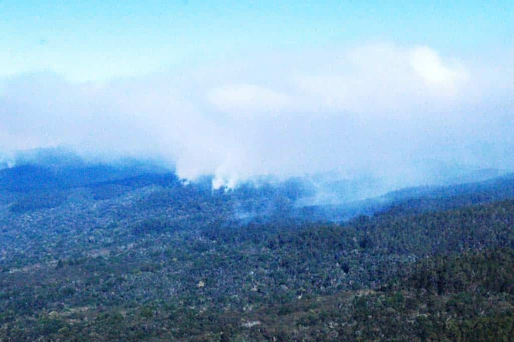 Controlan incendios Parque Nacional Sierra de Bahoruco