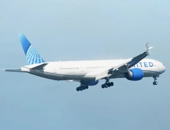 Culebra se cuela en vuelo de United Airlines desde NJ a Tampa