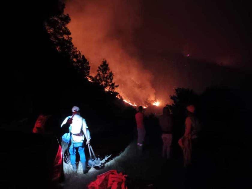 incendio forestal valle nuevo