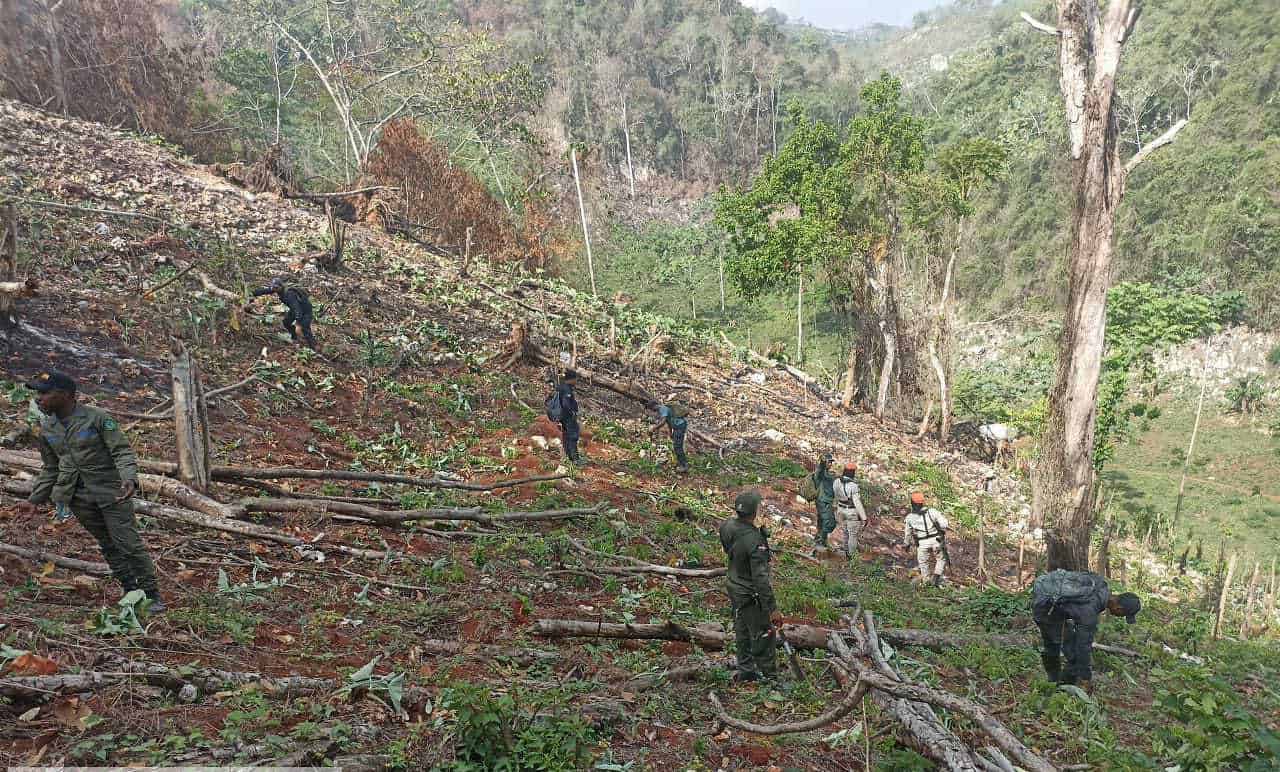 Medio Ambiente arresta a 50 personas en Los Haitises
