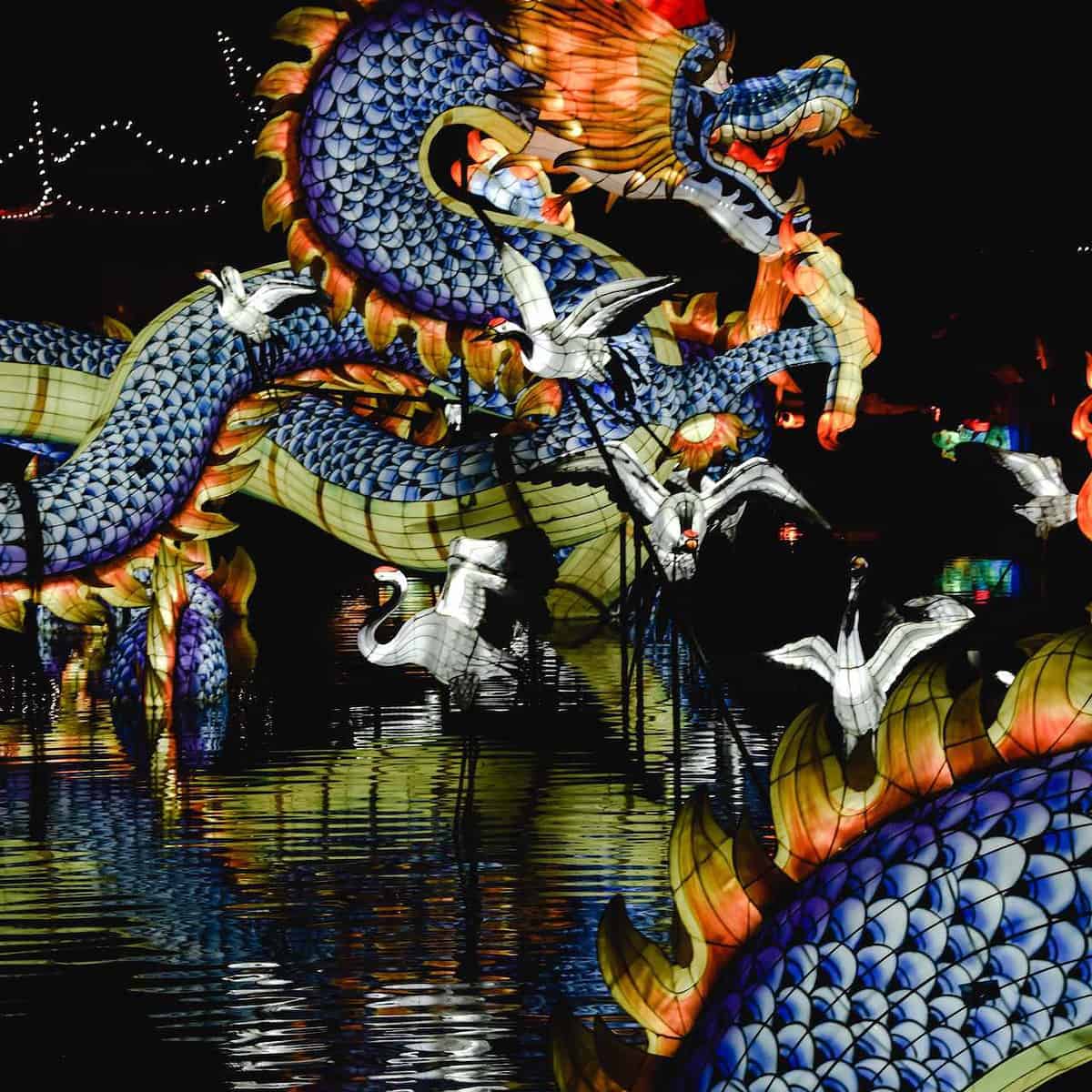 Festival del Bote del Dragón_ 70M de Viajes en Tren en China