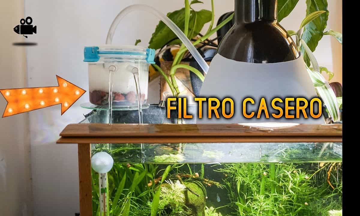 acuario y filtro casero