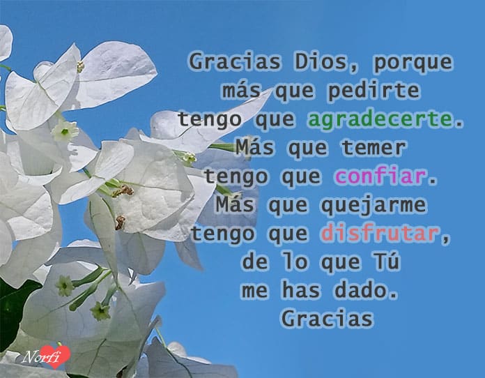 agradecimiento diario a dios