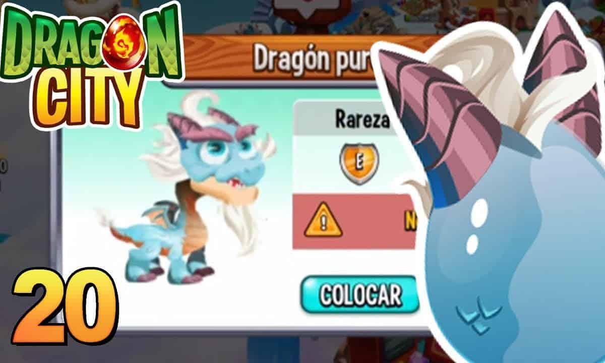 dragon puro