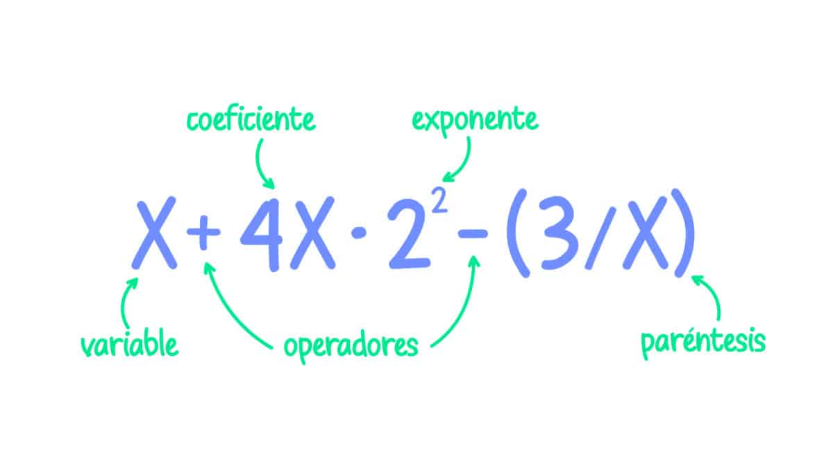 ecuacion algebraica