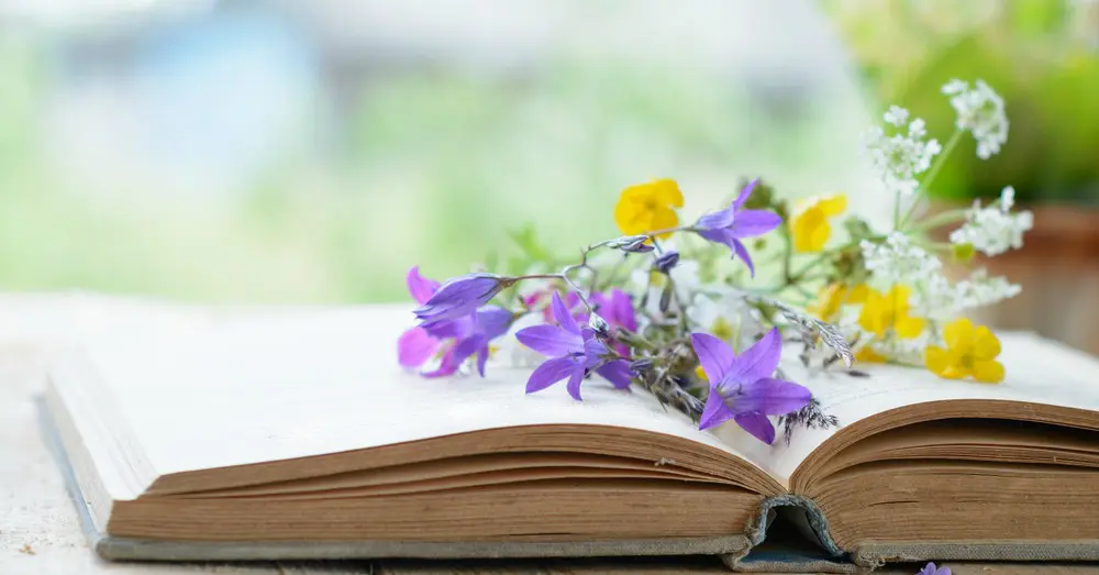 flores secandose en un libro