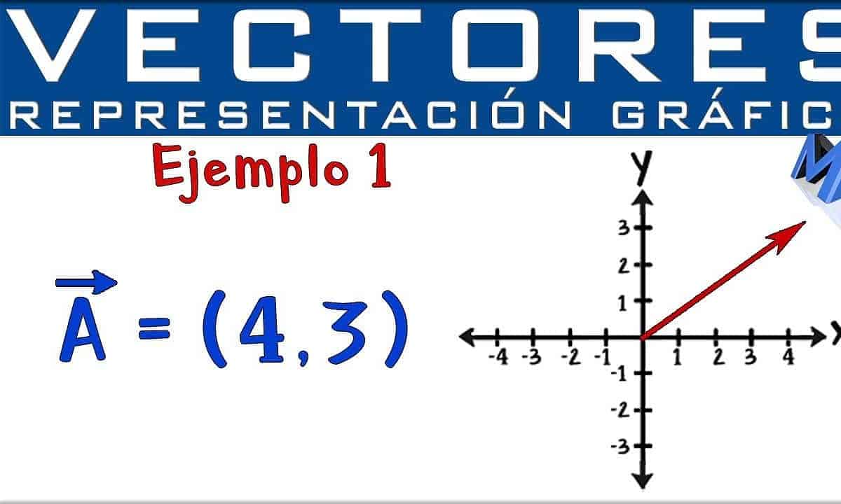 grafica vectorial