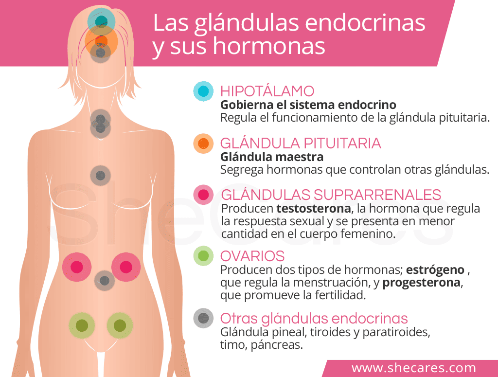 Descubre Cómo Aumentar La Progesterona De Forma Natural Para Mejorar Tu Salud Hormonal 1375