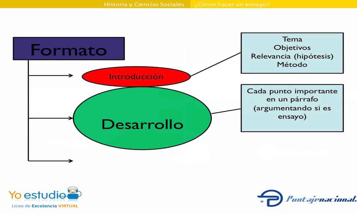 ilustrar el proceso de informe