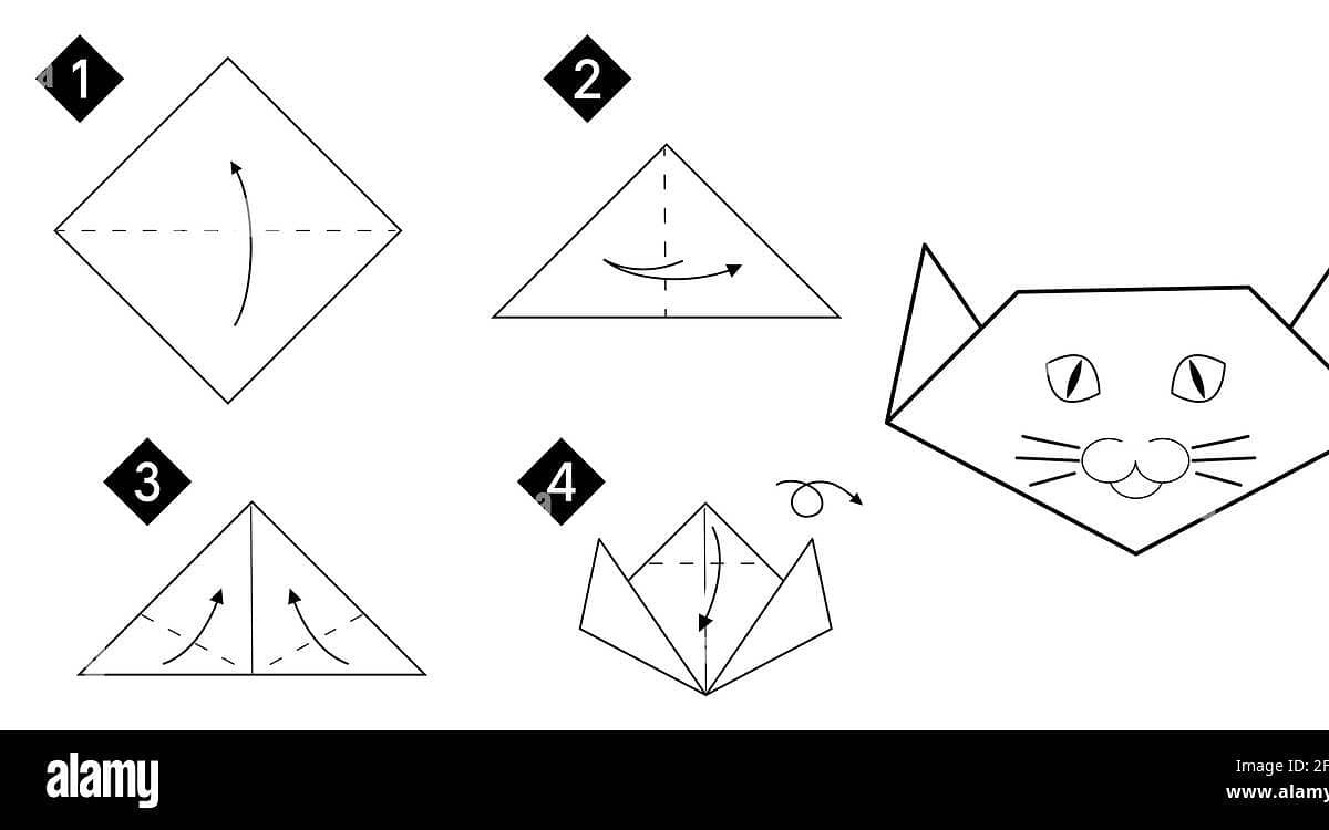 instrucciones paso a paso 9