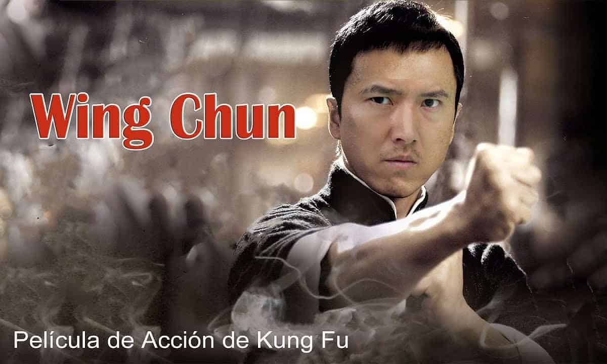 kung fu en accion