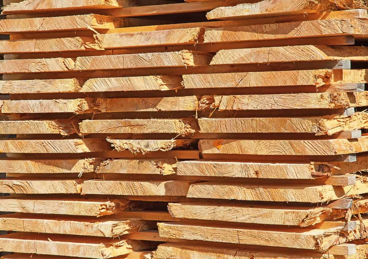 madera secandose rapidamente