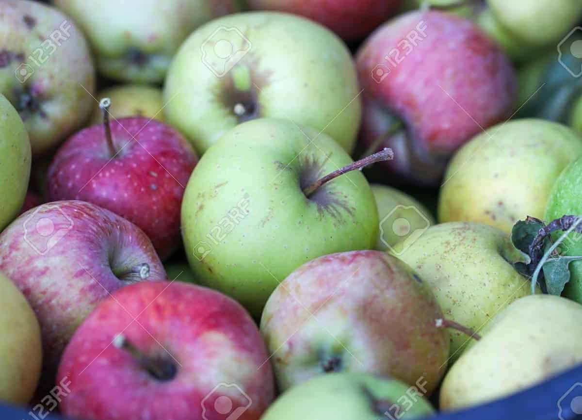 manzanas organicas