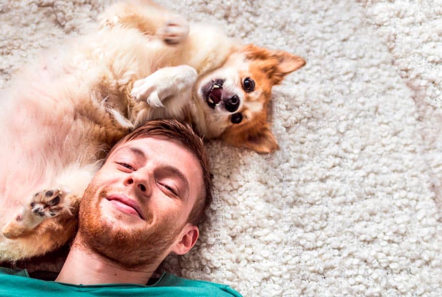 perro feliz en casa