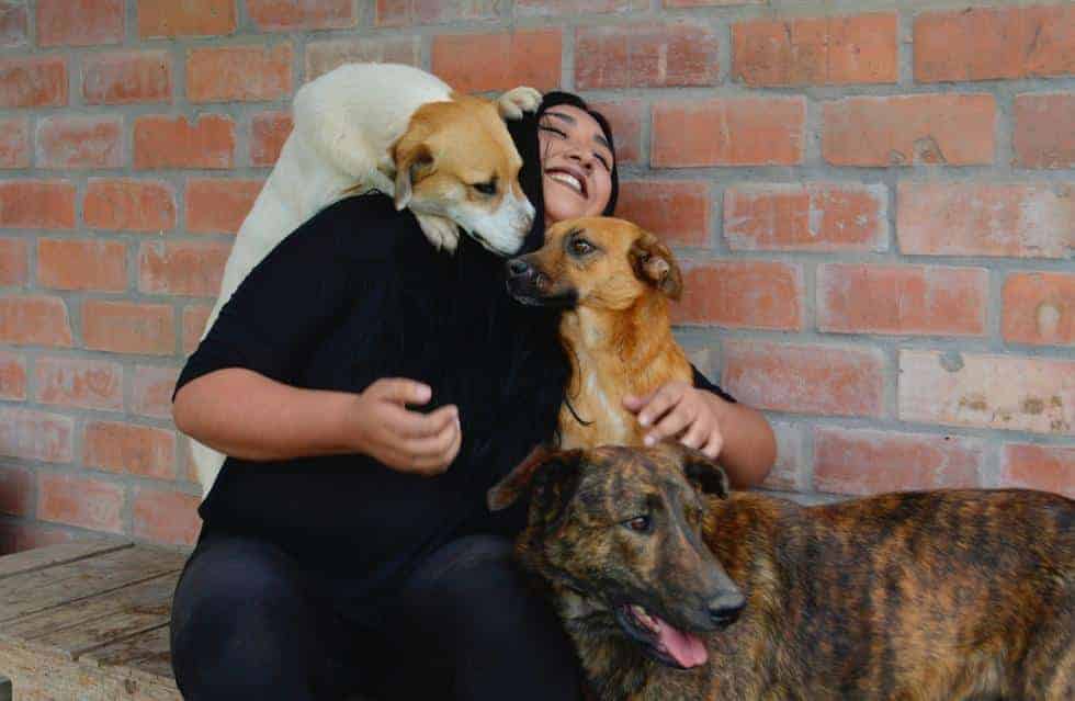 perros rescatados felices