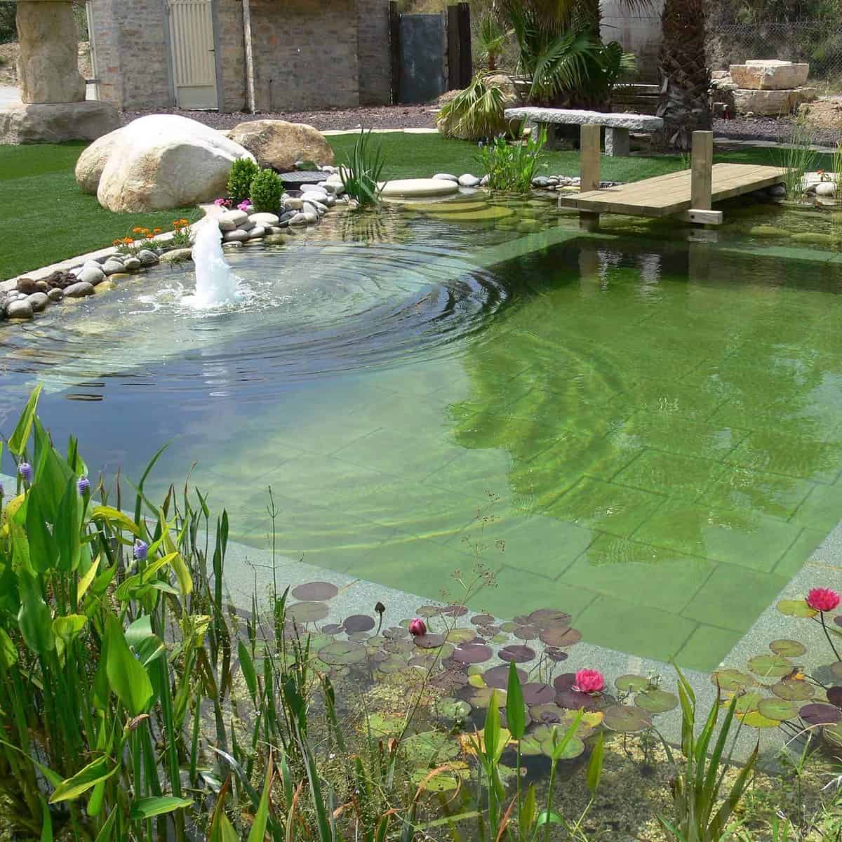 piscina natural en jardin