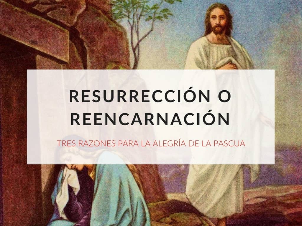 reencarnacion