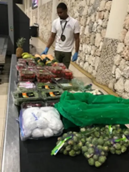 Decomisan frutas y vegetales a artista español en aeropuerto