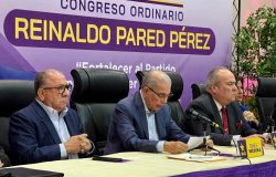 PLD considera innecesaria y riesgosa la modificación constitucional propuesta por el Gobierno